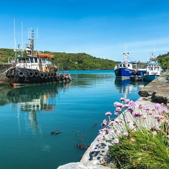 Coastal Village Retreat Castletownshend Eksteriør bilde